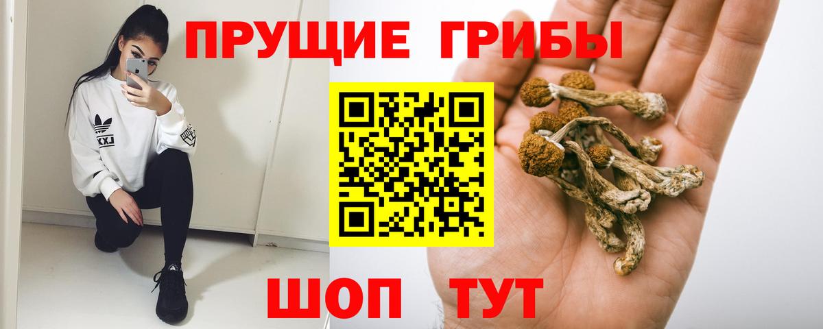 Псилоцибиновые грибы мицелий Шарыпово